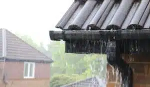 Roof Maintenance 1 Clogged Gutter -Maintenance