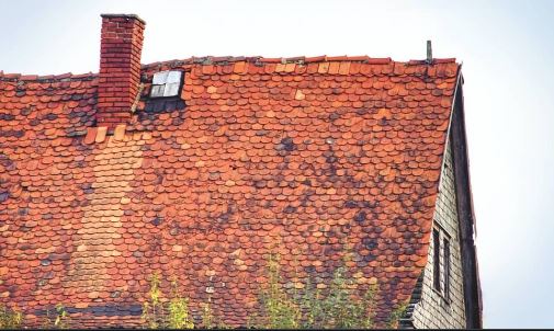 Roof with Deteriorated Shingles