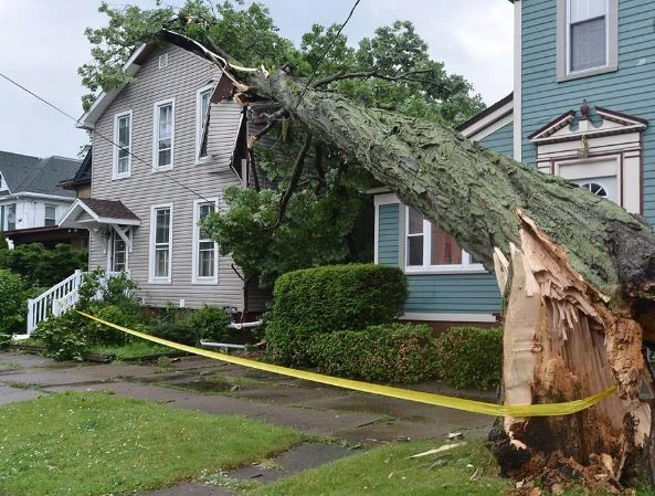 Roof Storm Damage Conroe