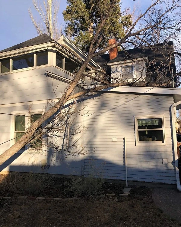 Storm Damage Conroe