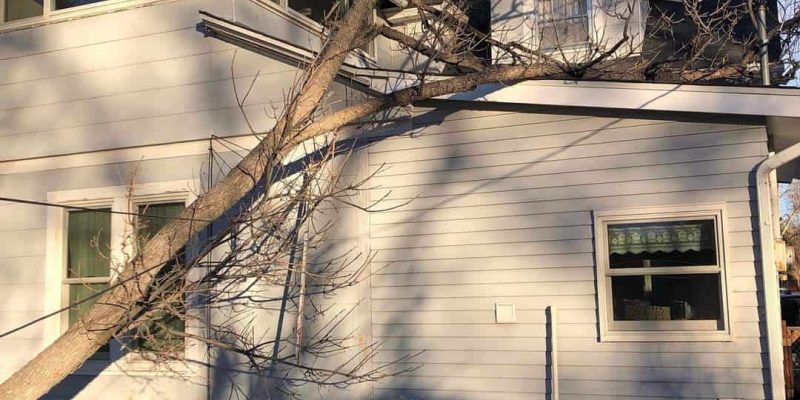 Tree on Roof – Emergency Repair Emergency Roof Repair